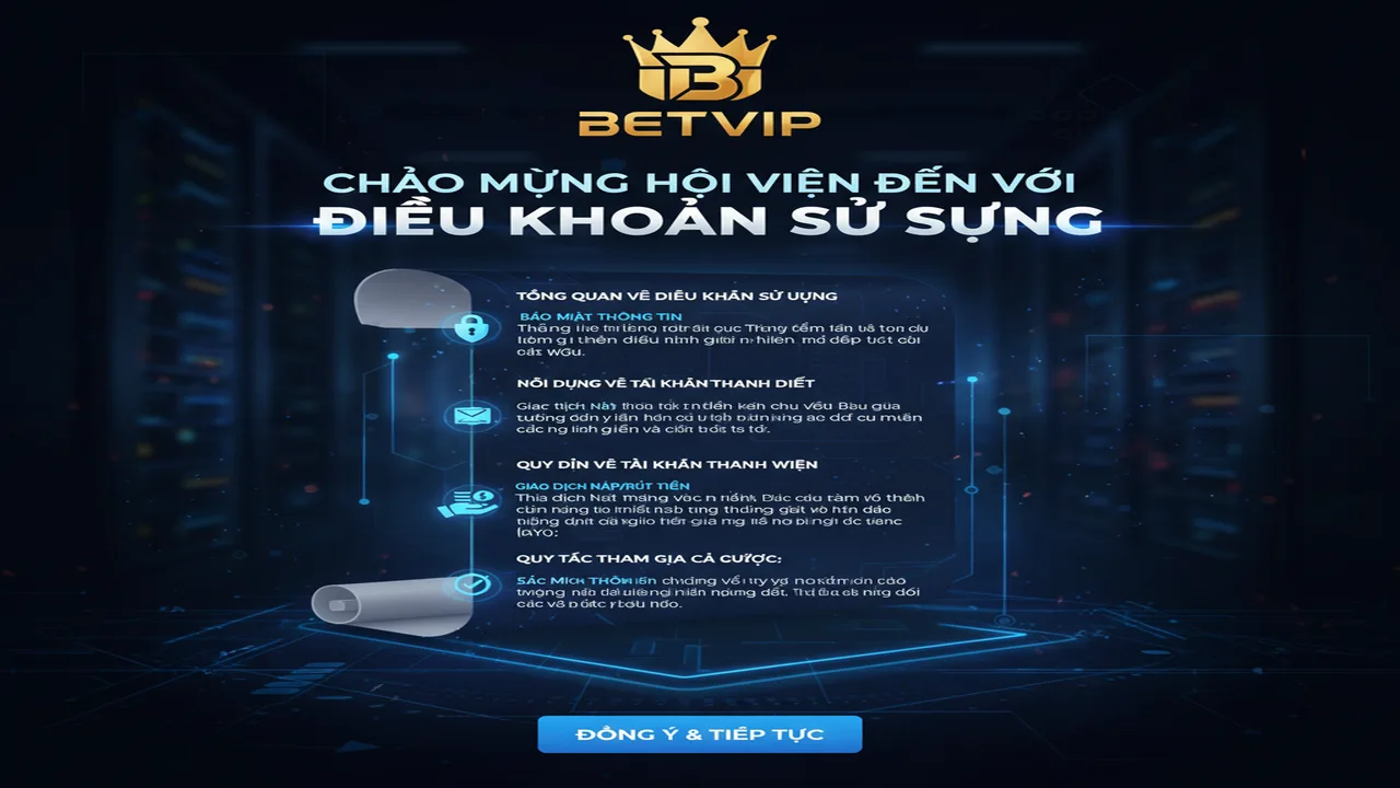 Điều Khoản Sử Dụng