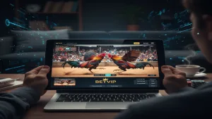 Xem đá gà trực tiếp ở đâu không bị chặn?